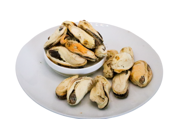 New Zealand Freeze Dried Green Lipped Mussels - 6kg - Image 3