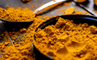From Australian Turmeric to Freeze-Dried Powder: Inside the Agtech Freeze Drying Process